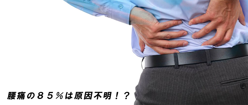 原因不明の腰痛