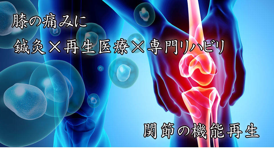 膝関節の再生医療