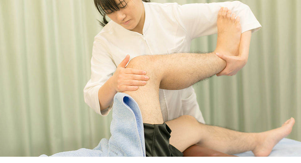再生医療とトレーニング